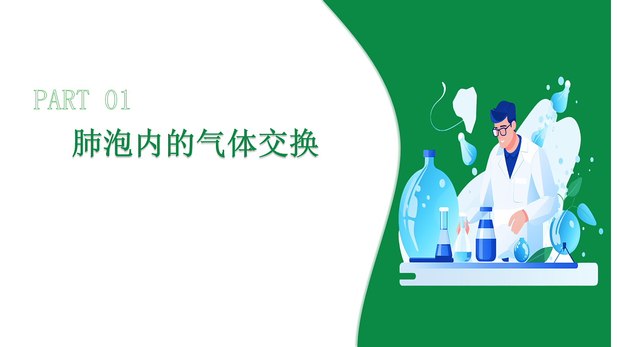 17254996第4页