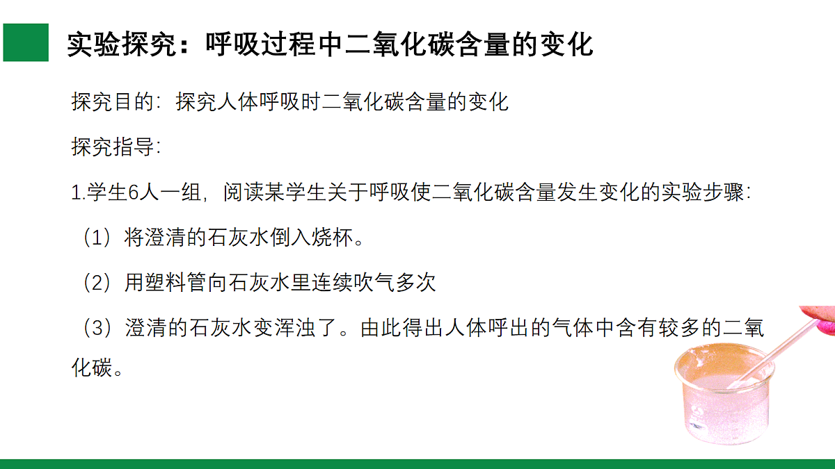 17254996第5页