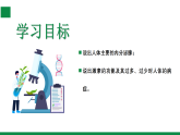 【核心素养目标】苏教版初中生物八年级上册5.16.3《内分泌系统的调节》课件