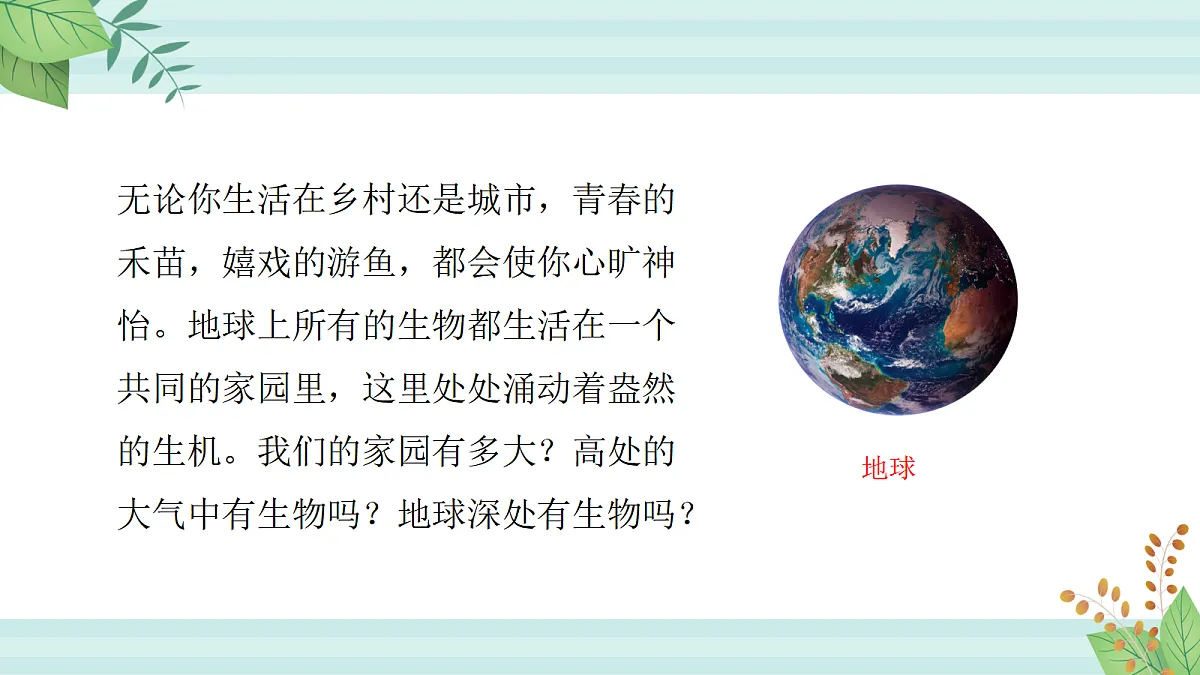 17255015第1页