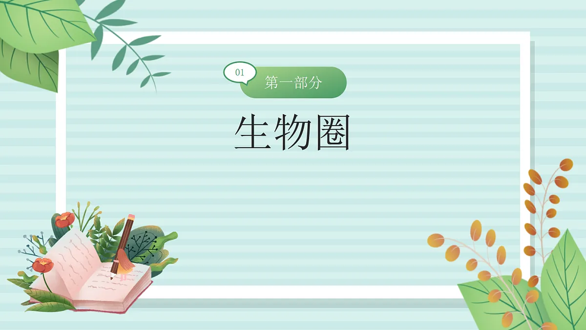 17255015第4页