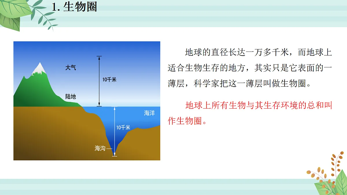 17255015第5页