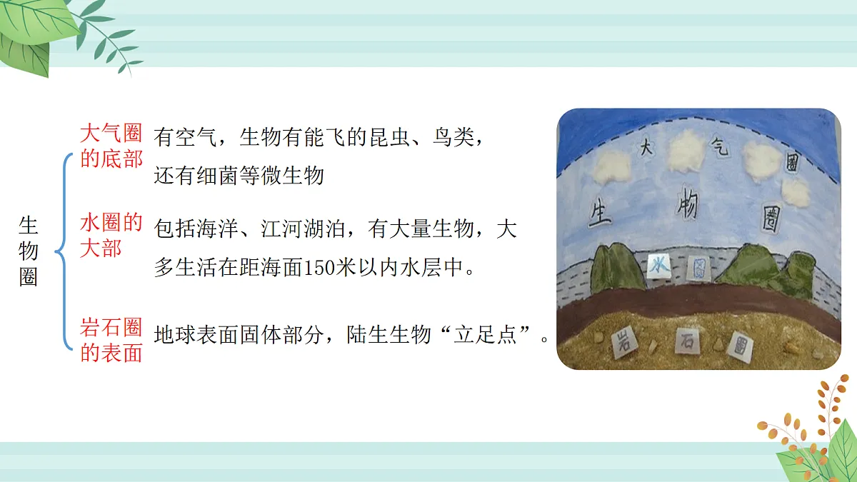 17255015第6页