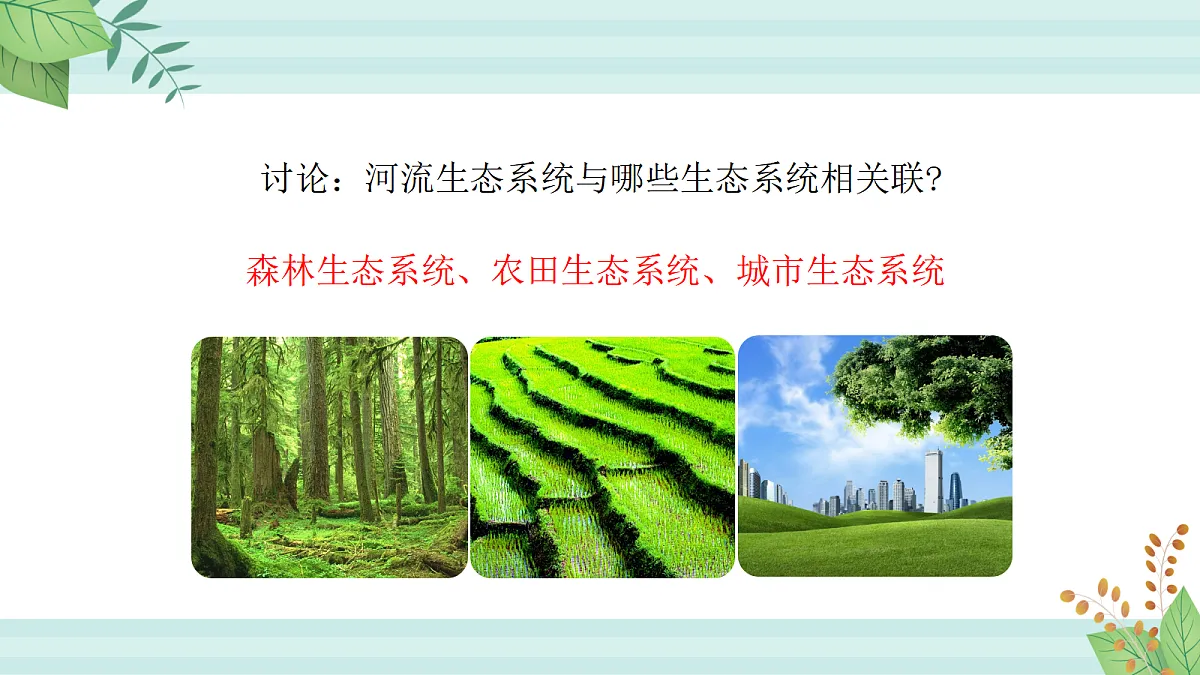 17255015第8页
