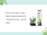 【核心素养目标】鲁科版初中生物七年级上册4.2.1《生态系统的自我调节》课件