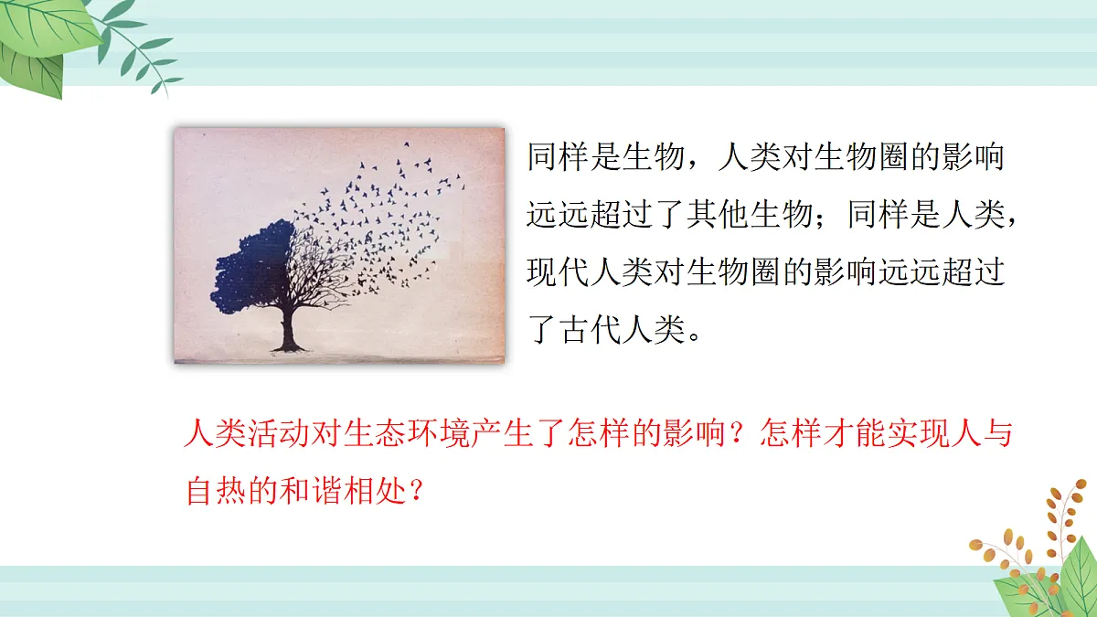 17255017第1页