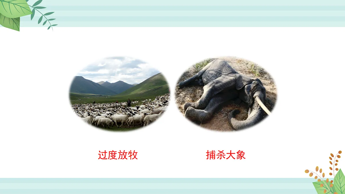 17255017第7页