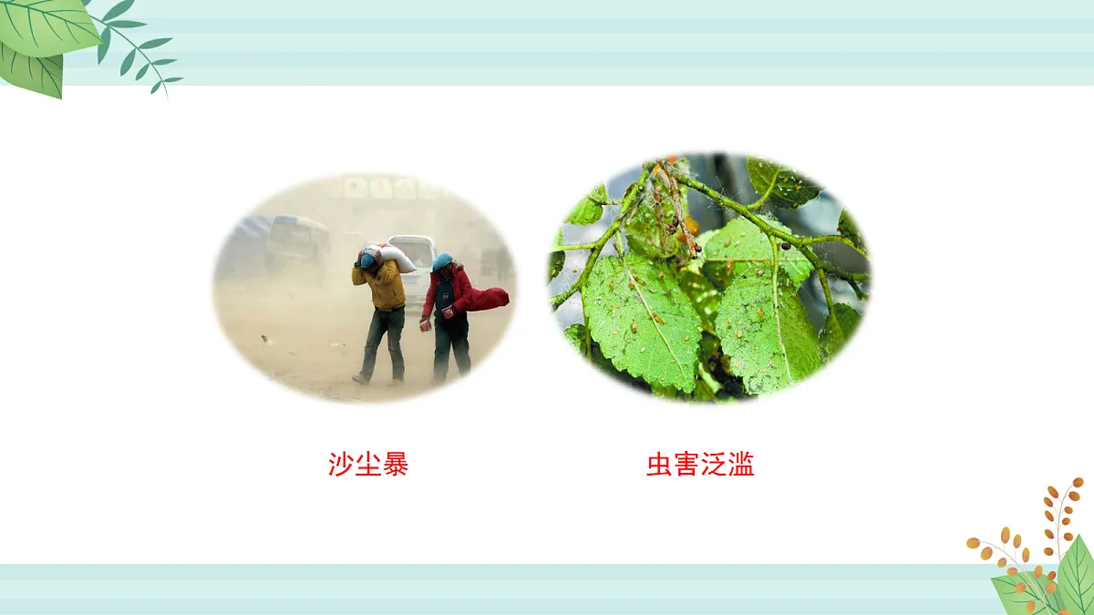17255017第8页