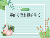 【核心素养目标】鲁科版初中生物七年级上册5.1.2《植株的生长》课件
