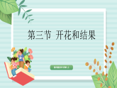 【核心素养目标】鲁科版初中生物七年级上册5.1.3《开花结果》课件