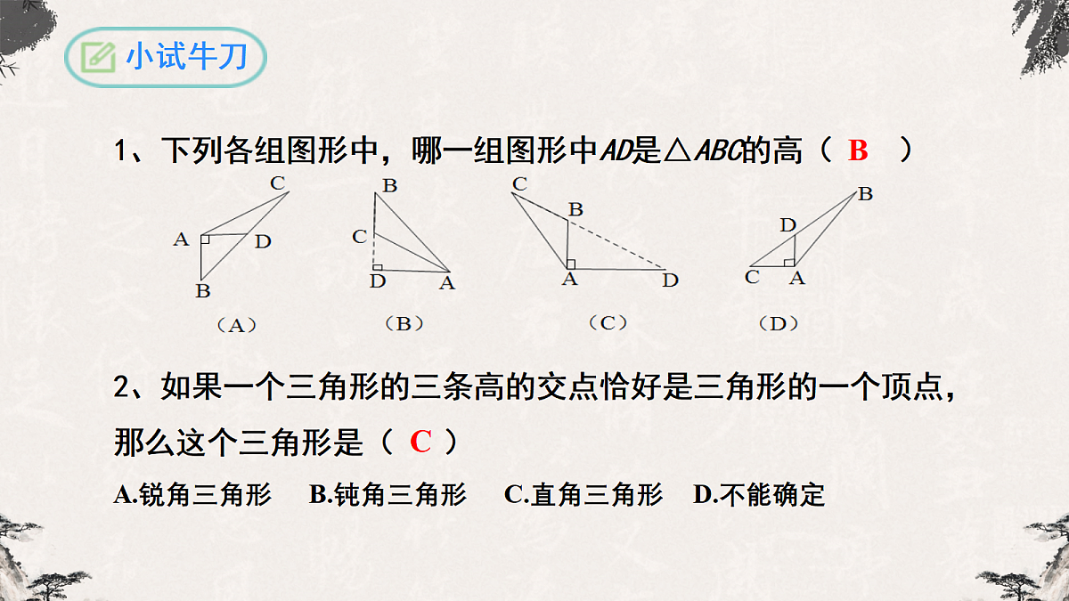 17255209第7页