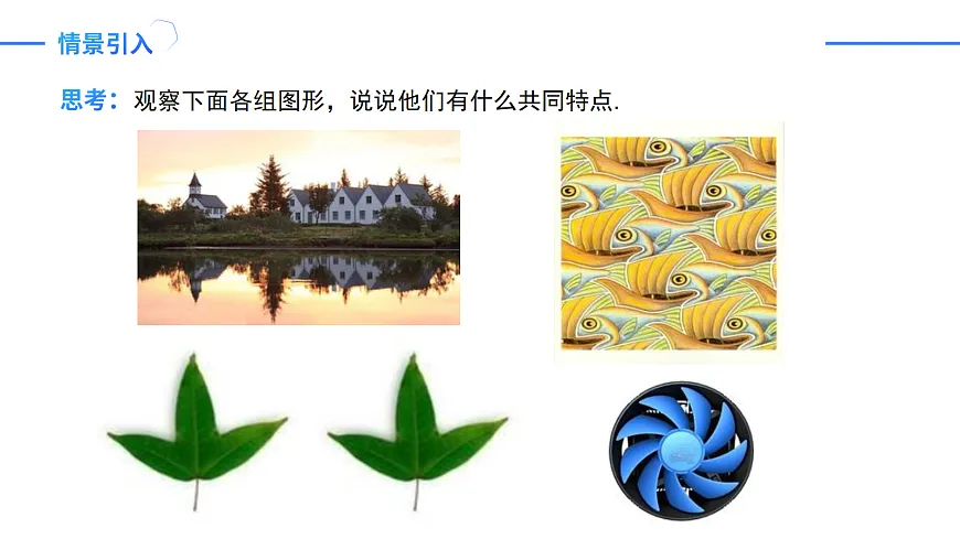 17255222第4页