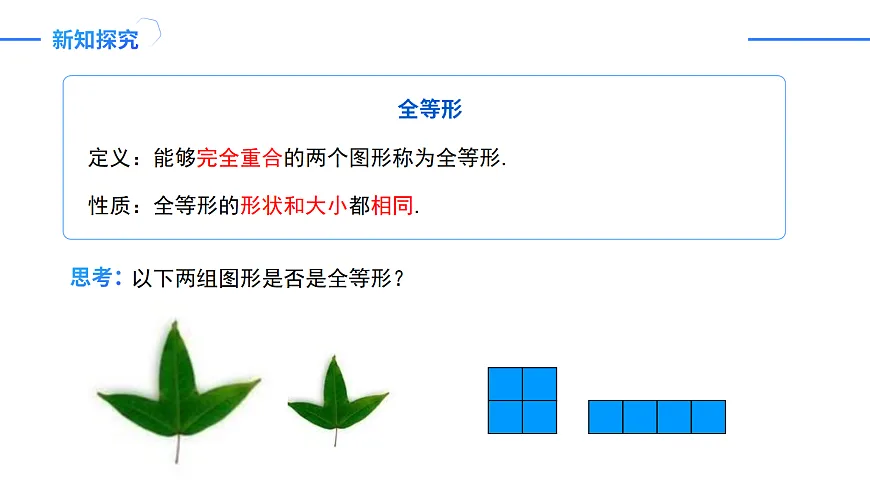 17255222第5页