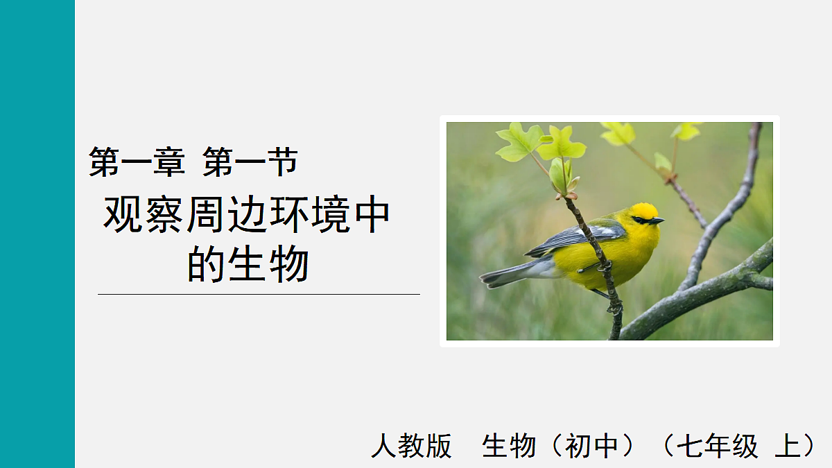 17255386第1页