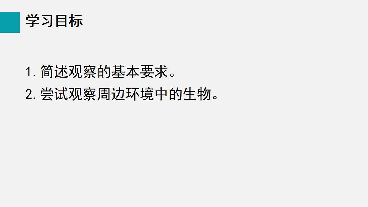 17255386第2页