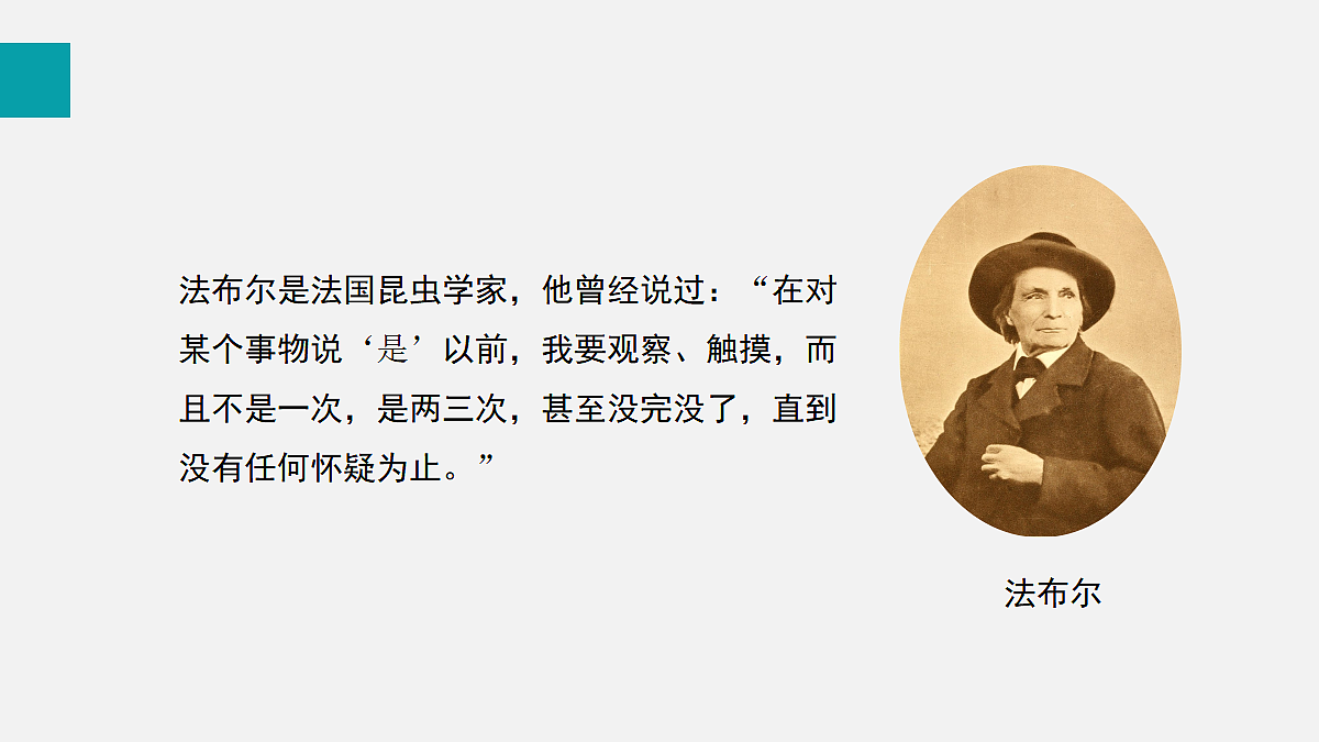 17255386第3页