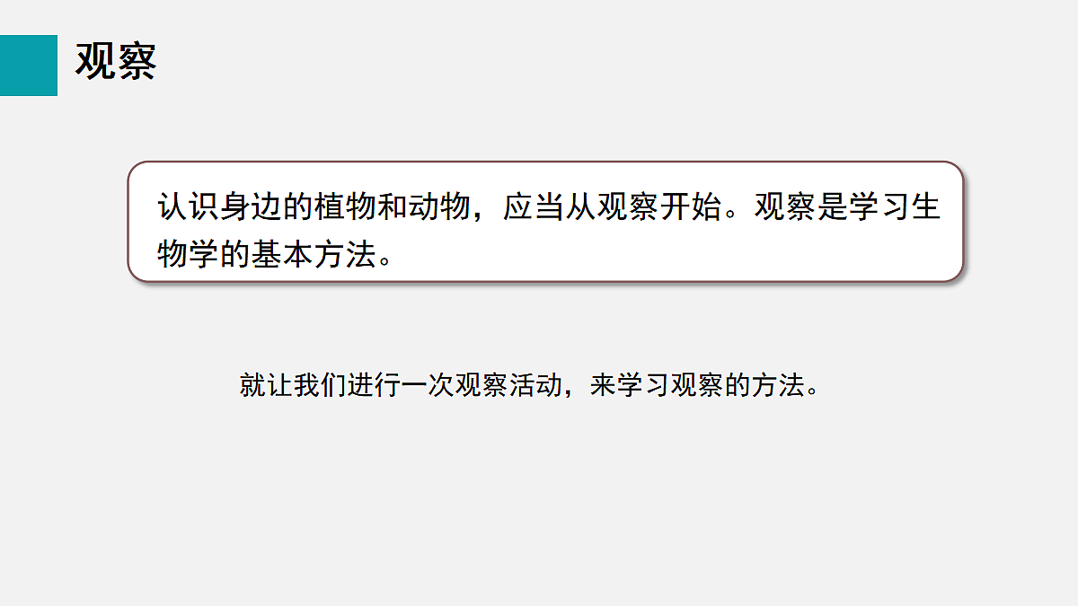 17255386第6页