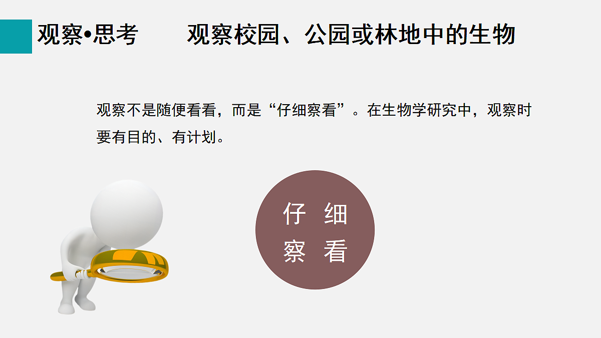 17255386第7页