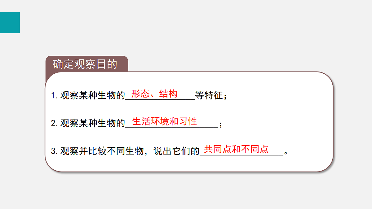 17255386第8页