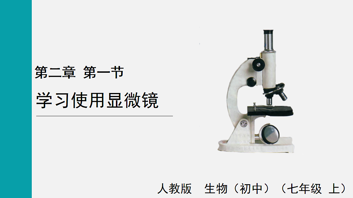 17255388第1页
