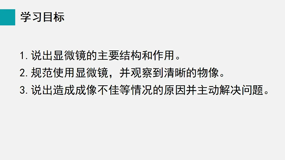 17255388第2页