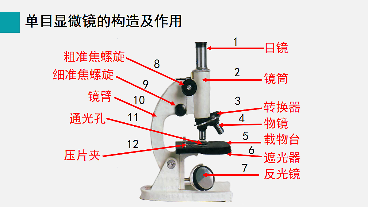 17255388第4页