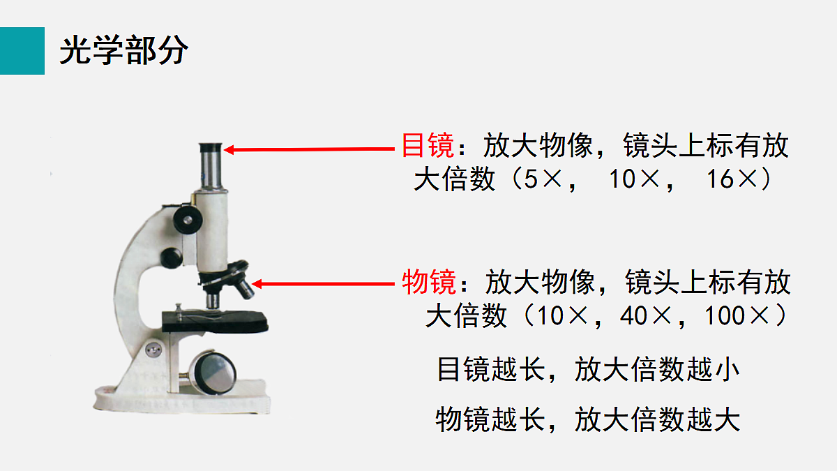 17255388第5页