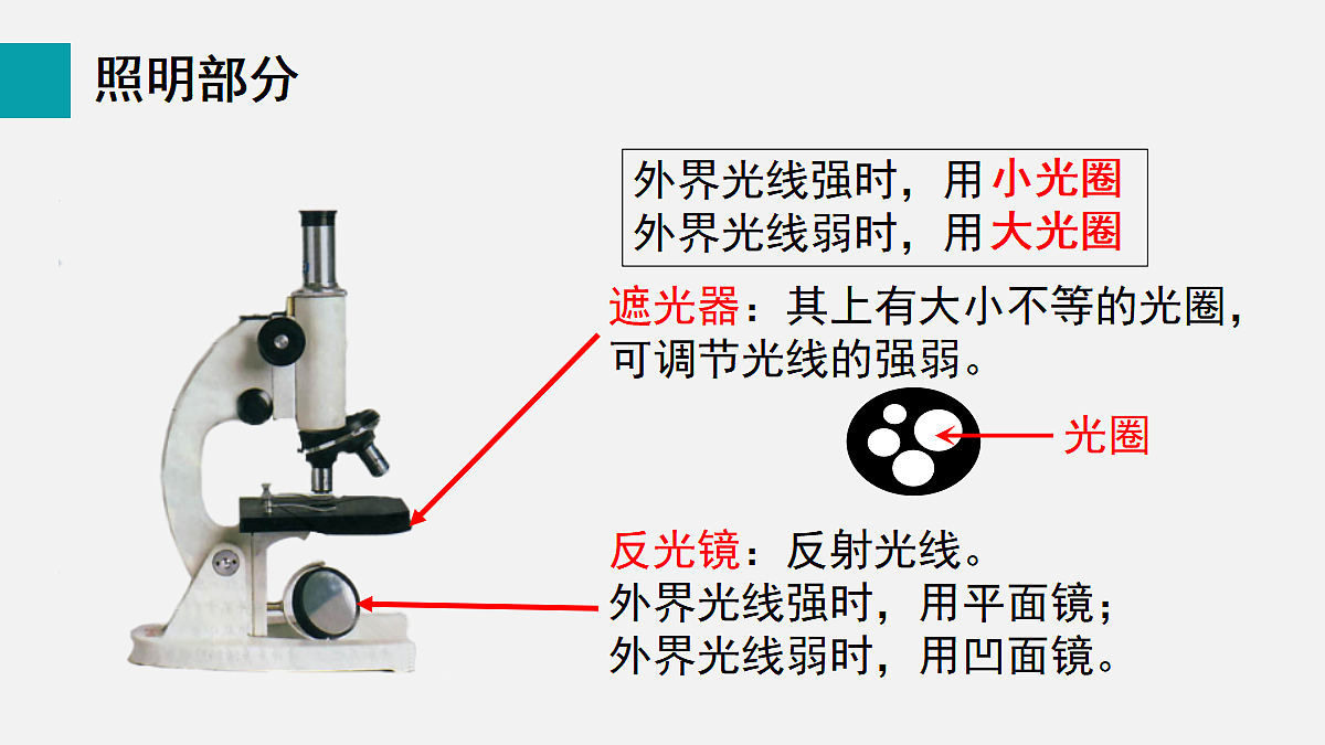 17255388第7页