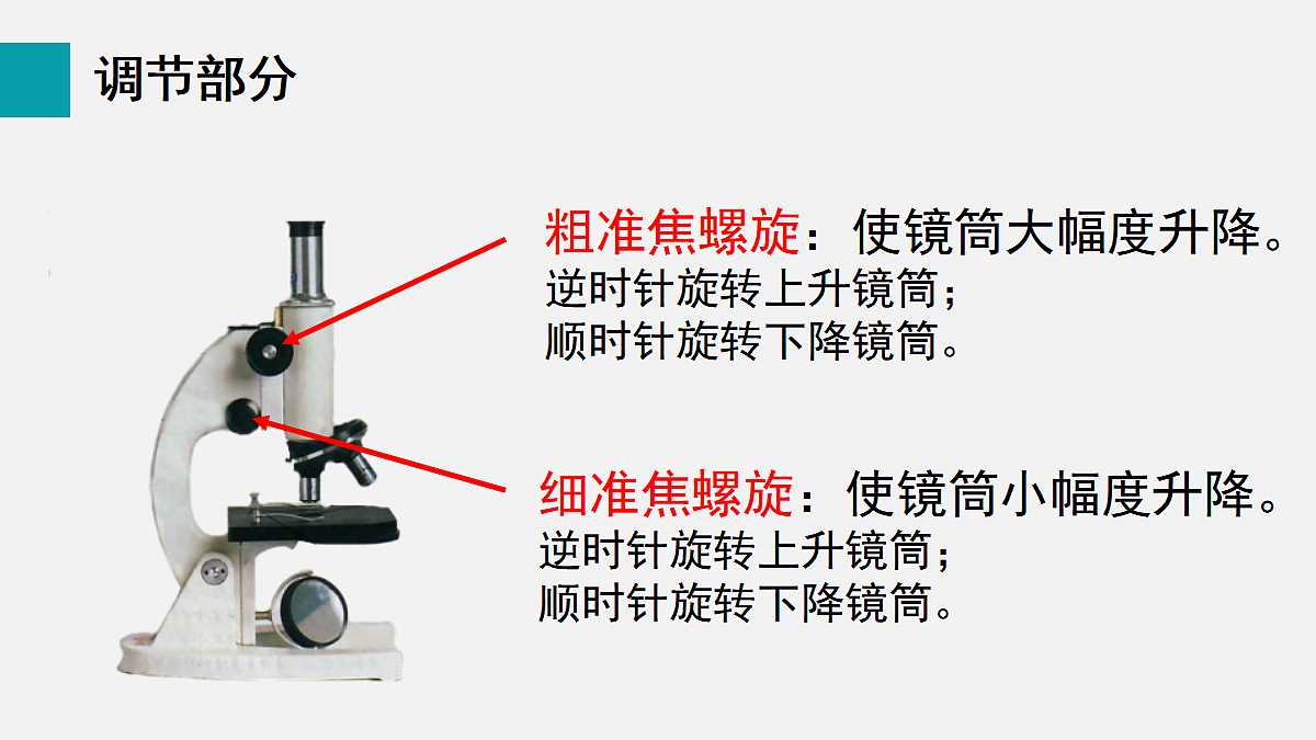 17255388第8页