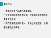 1.2.2植物细胞(课件)2025-2026学年人教版七年级生物上册