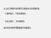 1.2.2植物细胞(课件)2025-2026学年人教版七年级生物上册