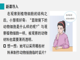 1.2.3动物细胞(课件)2025-2026学年人教版七年级生物上册