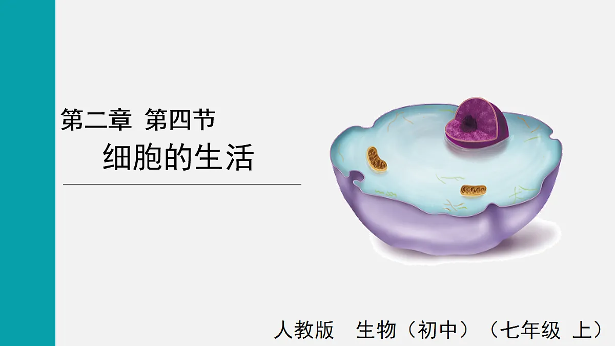 17255391第1页