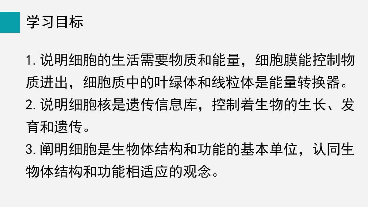 17255391第2页