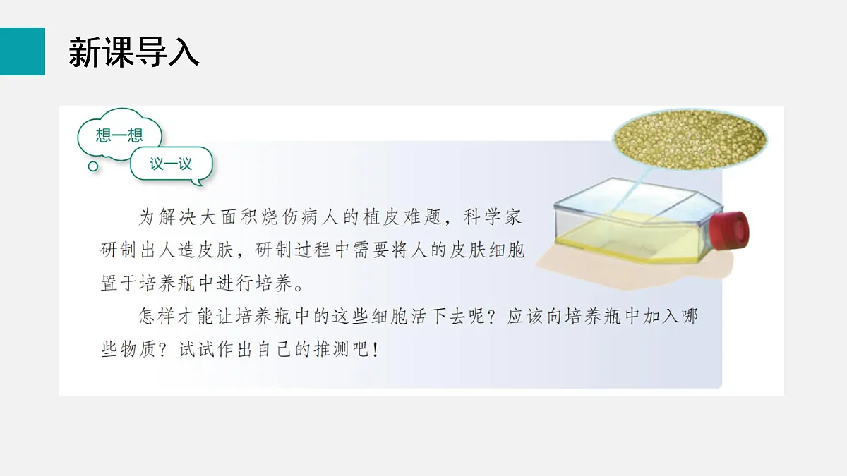 17255391第3页