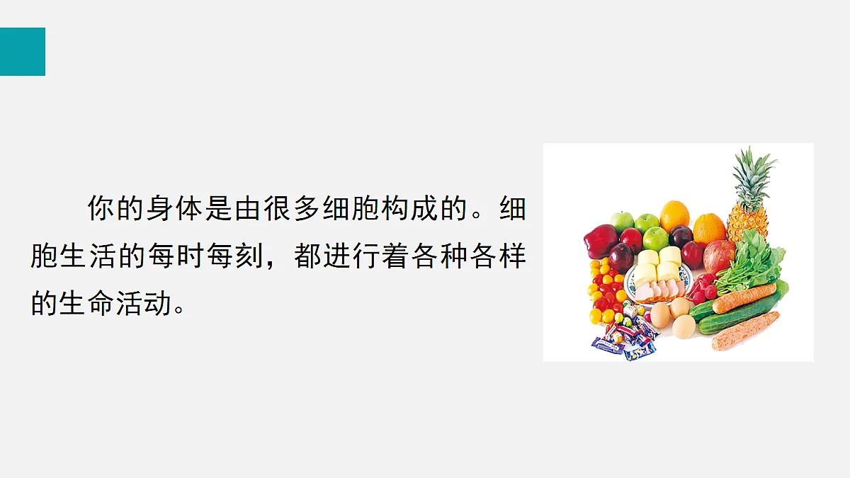 17255391第4页