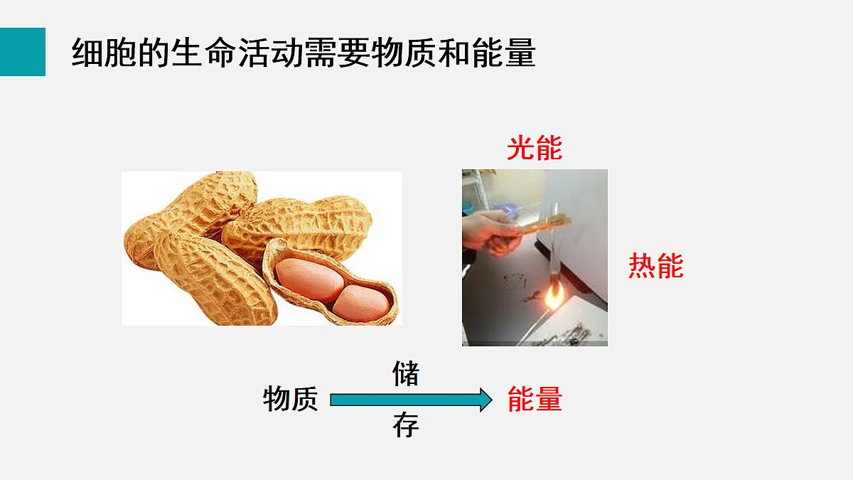 17255391第5页
