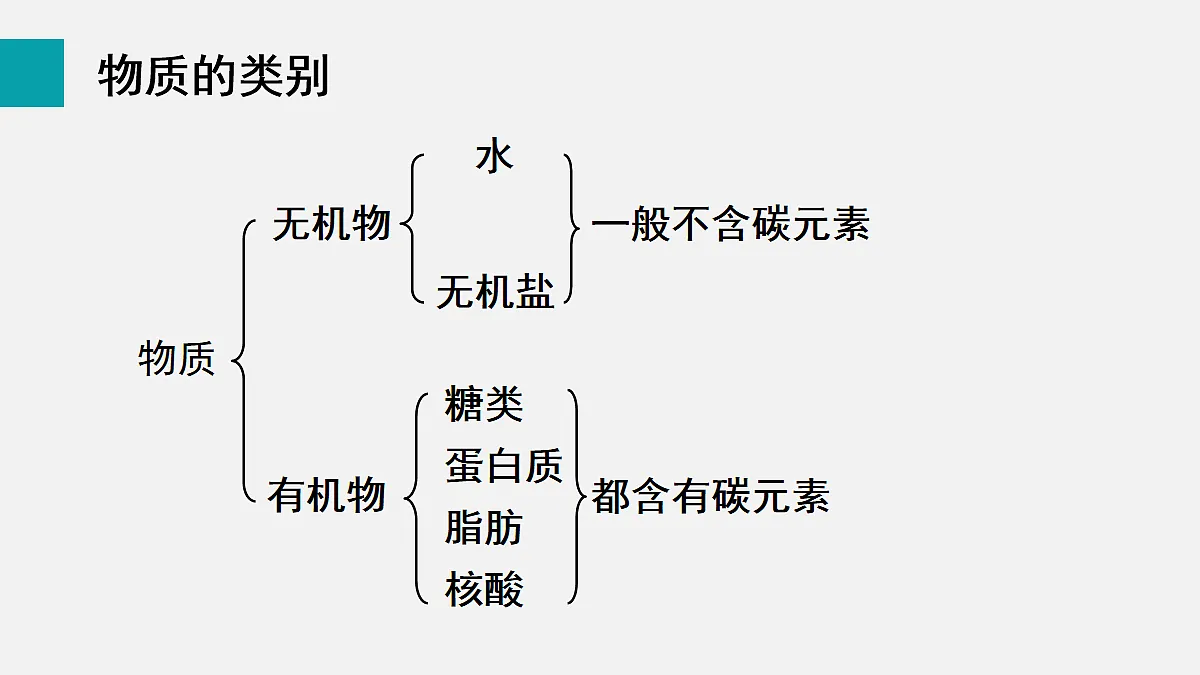 17255391第7页