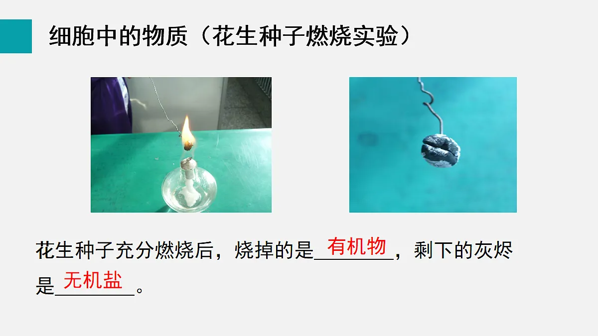 17255391第8页