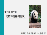 1.3.2动物体的结构层次(课件)2025-2026学年人教版七年级生物上册