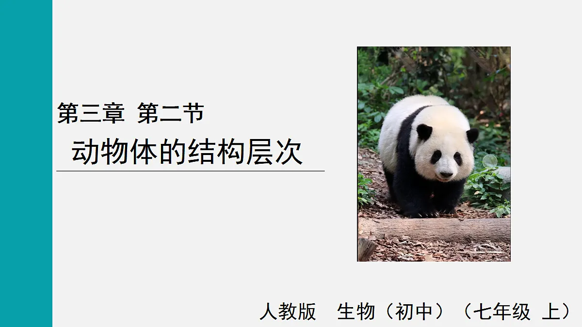 17255392第1页