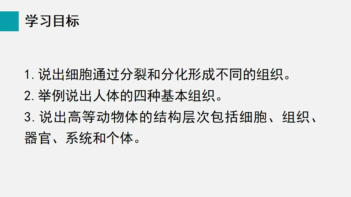 17255392第2页