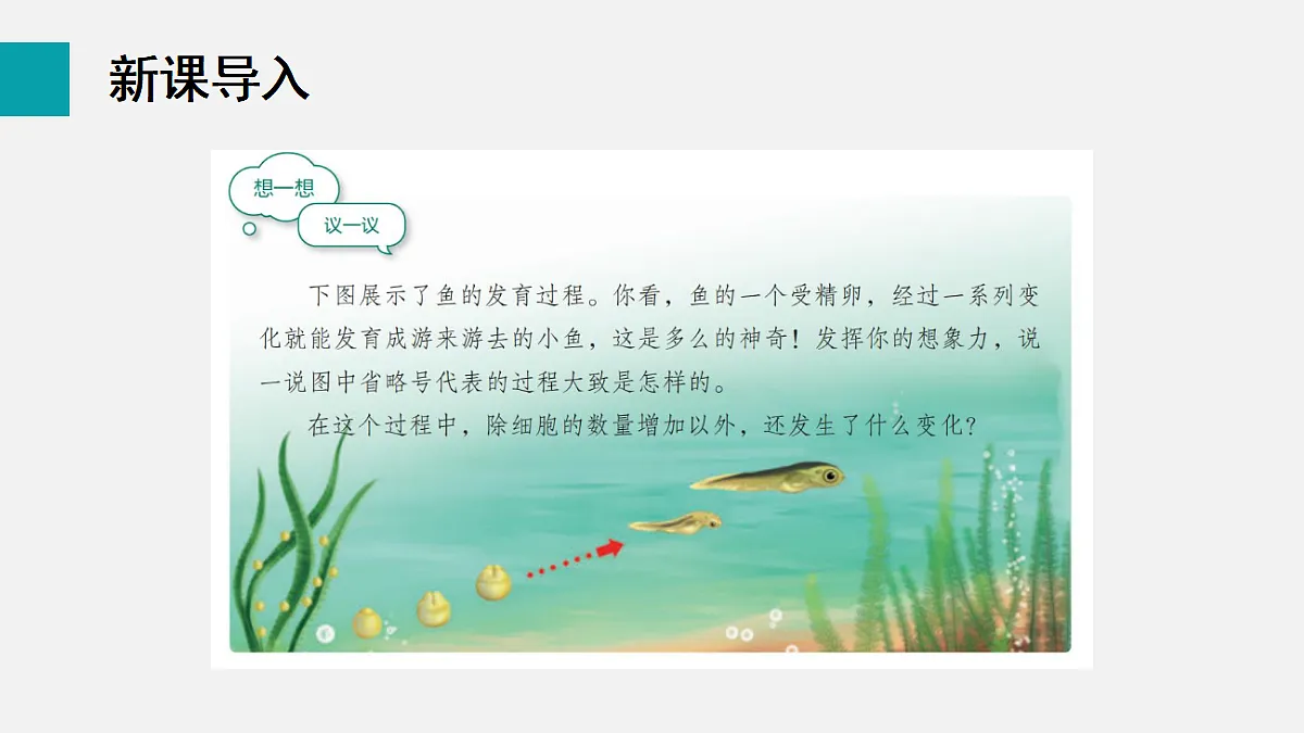 17255392第3页
