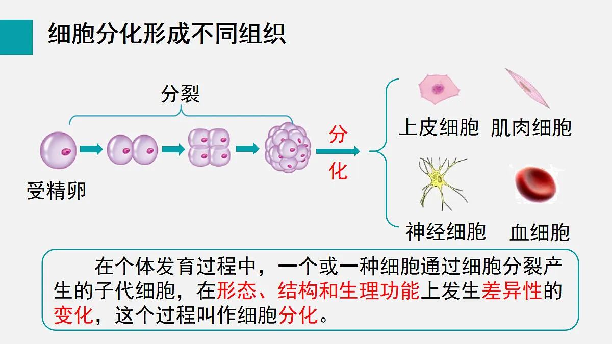 17255392第4页