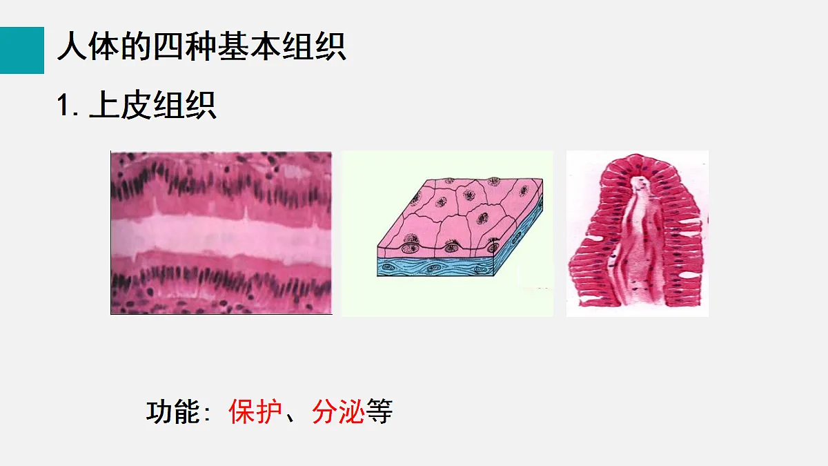 17255392第6页