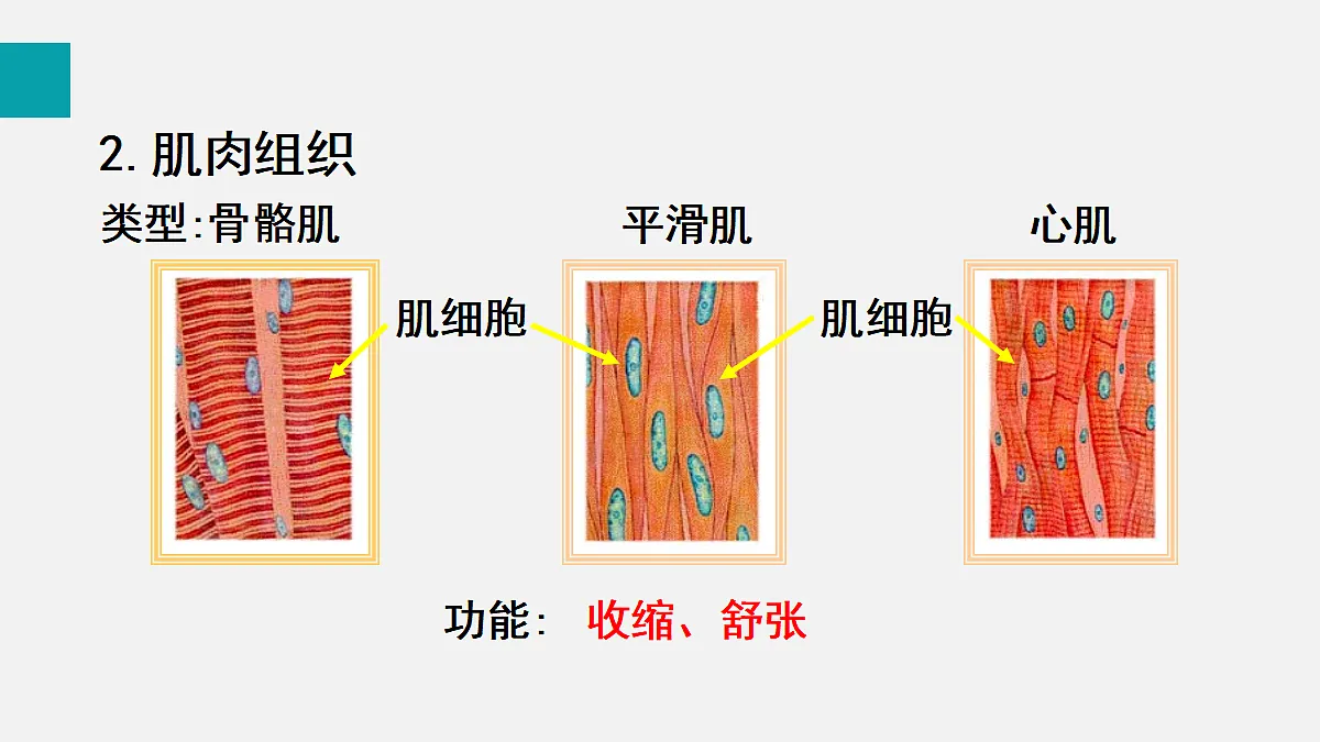17255392第7页