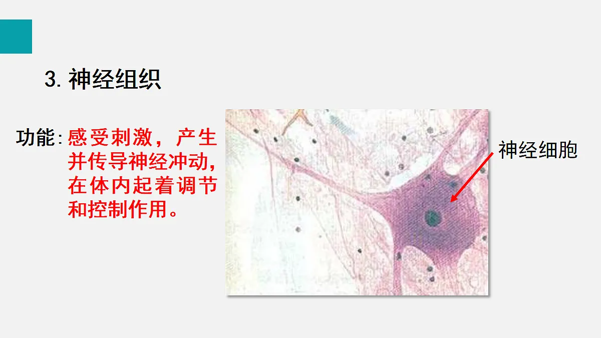17255392第8页