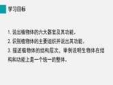 1.3.3植物体的结构层次(课件)2025-2026学年人教版七年级生物上册