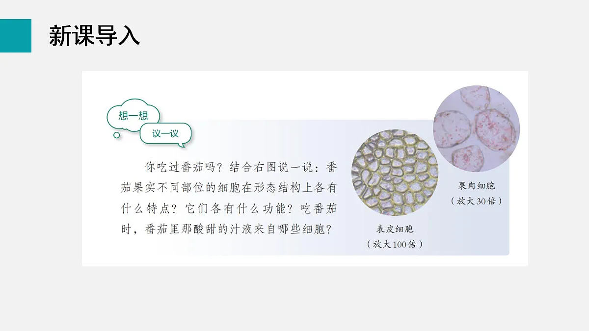 17255393第3页