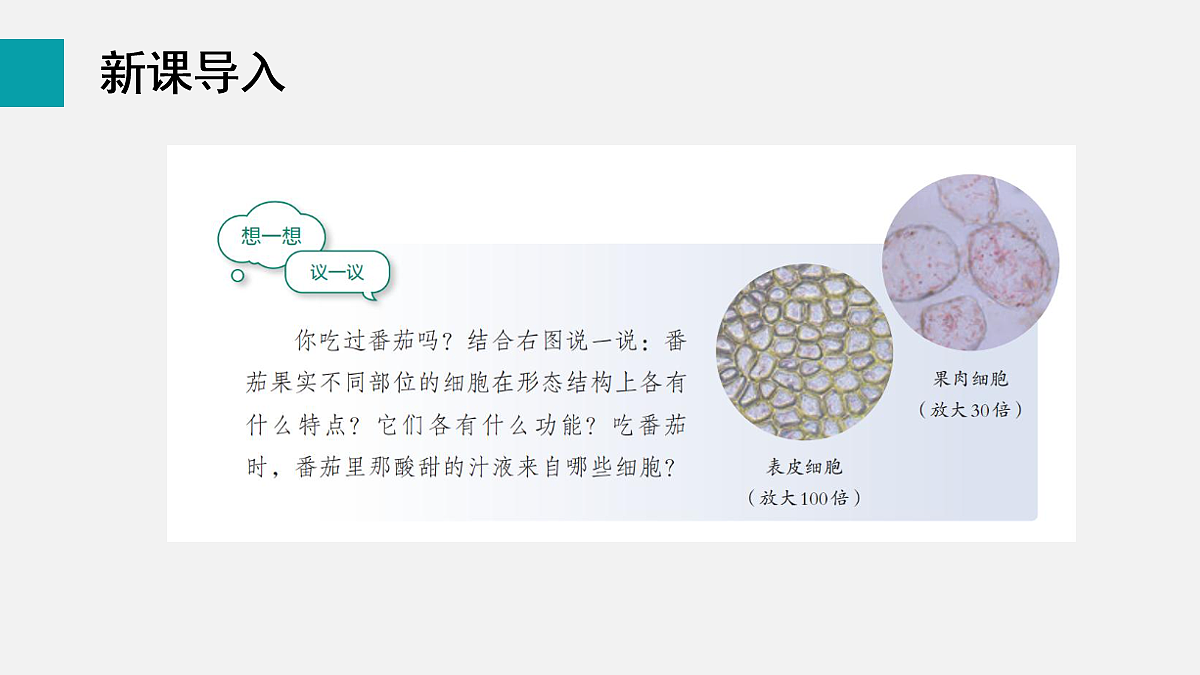 17255393第3页